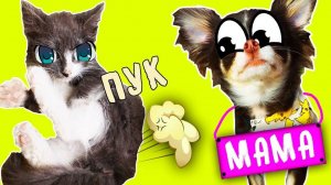 У ЮМИ БУДУТ ДЕТИ? БЫЛО НЕ БЫЛО ВОПРОС ОТВЕТ 50 ФАКТОВ О MAGIC PETS