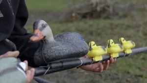 Карпфишинг. Новый способ ловли карпа весной на крякер от FOX!