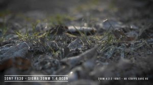 Sony FX30 - Sigma 30mm 1.4 DCDN 4k 120 FPS 10 Bit 4:2:2