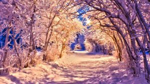 Tatul Krpeyan.................(ANTSCHO)