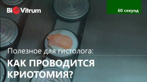 Как проводить криотомию?