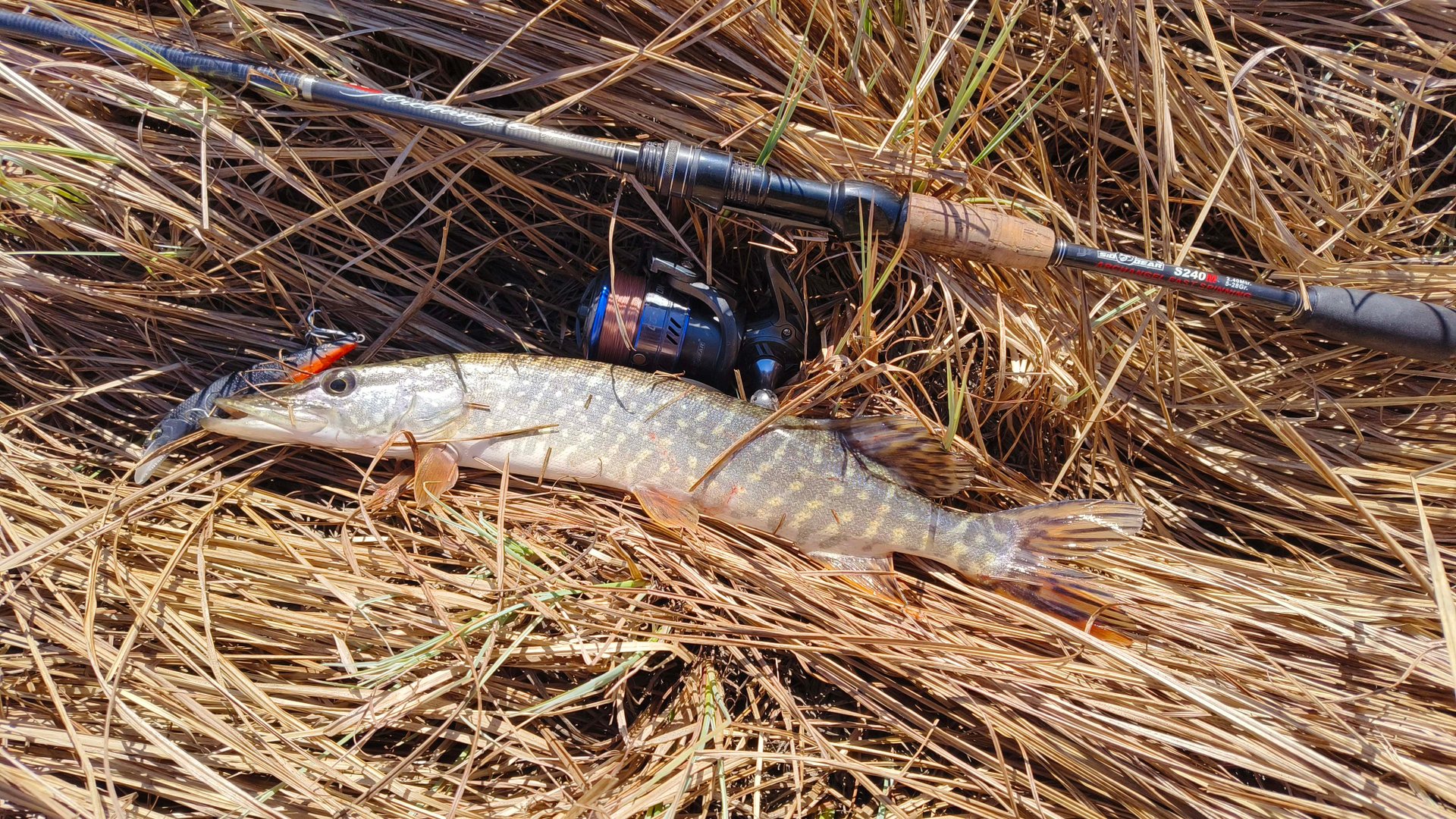 РЫБАЛКА ОДНОЙ ЩУКИ за пол дня всего несколько выходов и всего одна щука на воблер смотреть онлайн