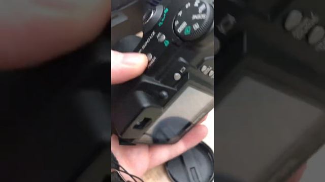 31 января 2022 г. смотреть онлайн