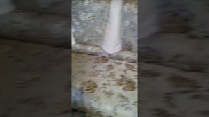 Перетяжка углового дивана