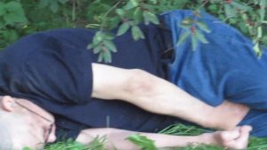 ПЬЯНЫЙ МУЖЧИНА ЛЕЖИТ В ТРАВЕ КУДА СМОТРИТ ПОЛИЦИЯ