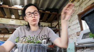 Застилили пруд пленкой//Пикирую дихондру