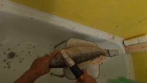 Электро рыбочистка с Али-экспресс