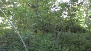 Ака Сорекс Про Катушка 14кГц