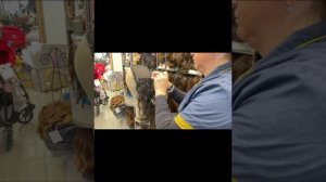 Можно ли дома самой сшить парик из натуральных волос