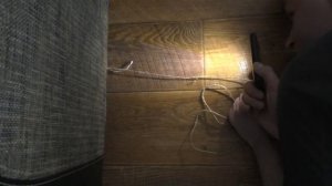 Как поймать крысу? Часть 2. Прогулка крыс.