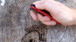 An EDC Stinger! Steel Will Shaula