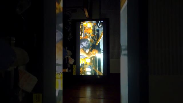 Goldie Hawn Mel Gibson Bird on a Wire смотреть онлайн