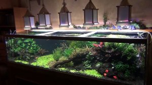 Компрессор в аквариуме. Можно ли приглушить этот грохот?