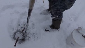 Щука на жерлицы по первому льду 14.11.2017.mp4