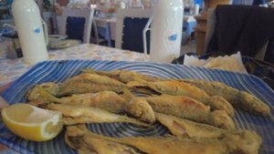 Круиз из Сочи. Шикарный курорт Амасра. Экскурсия по Амасре Рассказ Гида Северная Зимняя Турция 2022