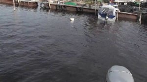 хонда50 вибрация