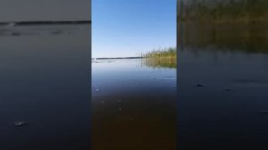 Можайское водохранилище, масловские флеши