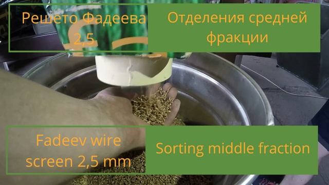 Подготовка "Сильных семян" пшеницы на заводе Фадеев Агро смотреть онлайн