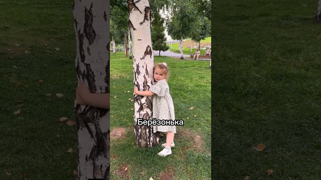 Белая берёзонька #матушказемля #береза #парк #гуляем #прогулка #зарядье