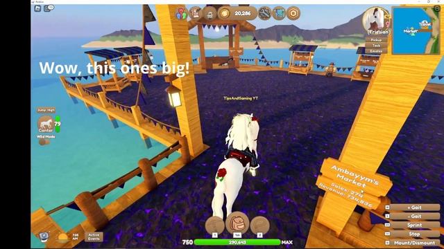 Exploring Markets and Buying Items! | Wild Horse Islands | Roblox смотреть онлайн
