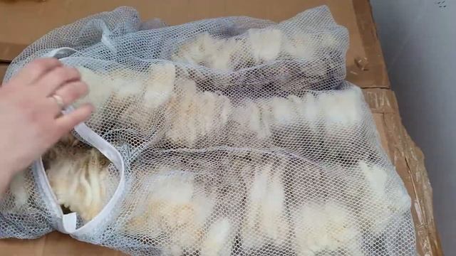 Мой способ мытья шерсти. Как помыть шерсть бережно. смотреть онлайн