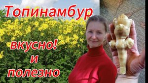 О пользе топинамбура