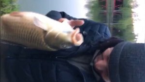 Рыбалка в Литвиново