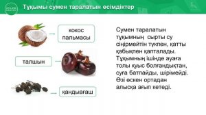 4 сынып. Жаратылыстану. 7 сабақ. Өсімдік тұқымы қалай таралады?