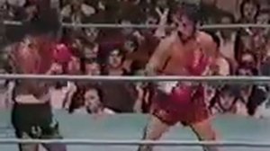 Freddy Castillo vs. Eleoncio Mercedes.World FlyWC.1982.11.06