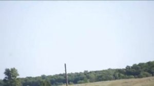 сурок-байбак  2015