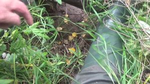 2022г. Охота и рыбалка в сентябре #2 Первая осенняя охота.mp4