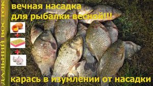 Вечная насадка!!! Для рыбалки весной и не только.  Карась и сазан в шоке от неё..mp4