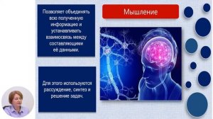 Биология, 8-й класс,  Высшая нервная деятельность