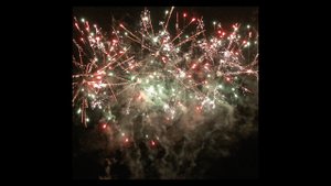 С 515 Blue tail blast aloe w red green peony  (20 сек)  Тип W 1 2” X 49 №326