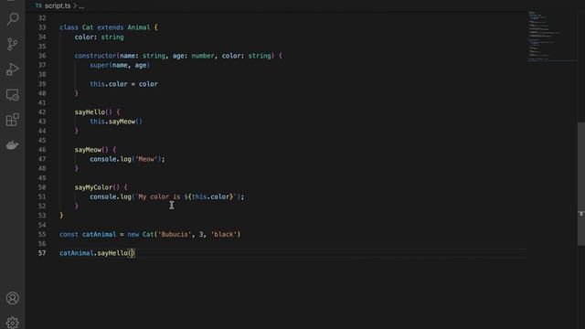 Typescript klases 6. daļa - Polimorfisms