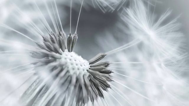 СТИХИ Анастасия Одесса ДаФиДиRo " СПИШЬ?" смотреть онлайн