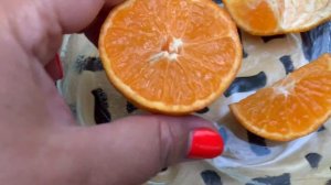 Клементин Orogros в теплице Киевской обл.