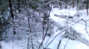 Самоделка на гусеничном ходу. На гусеницах. испытания