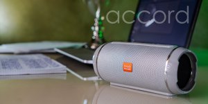 Magic Acoustic Портативная акустическая система accord SK1018