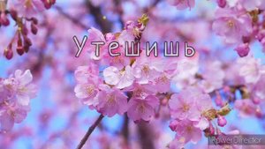 Мама, я тебя люблю ? Музыкальная открытка