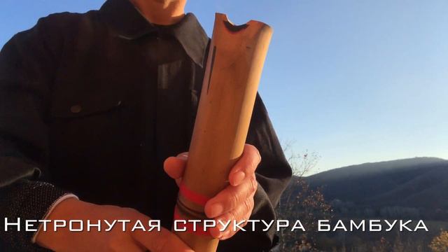 Видео обзор морской флейты смотреть онлайн