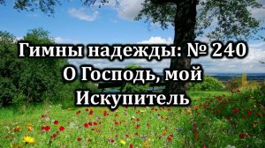 Гимны Надежды № 240 "О, Господь, мой Искупитель"| Караоке с голосом | Христианские песни | Песни АСД