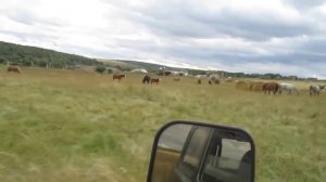 покатушки нива 4х4  на бездорожье грязь. первый выезд нивы