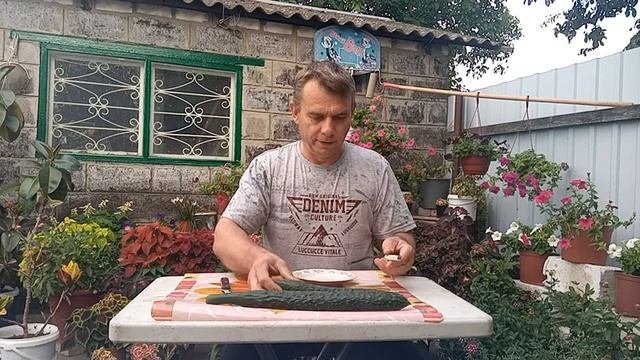 ТАКИХ ОГУРЦОВ ВЫ ЕЩЁ НЕ ВИДЕЛИ!!! ОГУРЕЦ-АЛЛИГАТОР!
