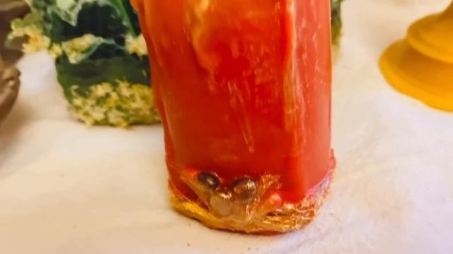 Программные свечи с камнями и травами смотреть онлайн