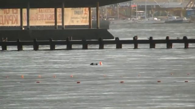 Обезвреживание мины Полная версия смотреть онлайн