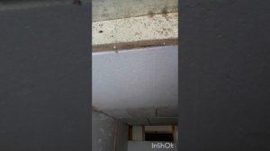 Строительство погреба? НАДЗЕМНЫЙ ПОГРЕБ! СРЕДНИЙ УРАЛ!