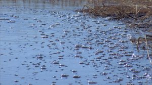 Natures Great Events S01E05 The Great Flood