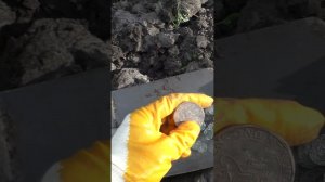 Клад средневековых монет  #shortsfeed #metaldetecting #антиквариат