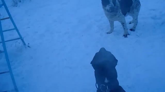 Встреча после долгого перерыва с повзрослевшим САО. смотреть онлайн